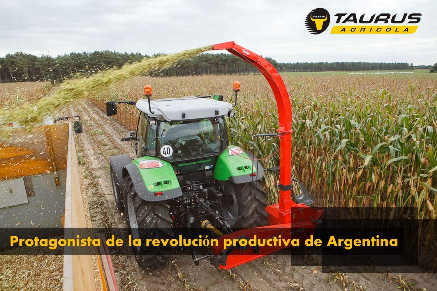 Corta-Picadora Maíz/Sorgo contractor Corta-Picadora Maíz/Sorgo contractor | taurus